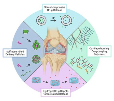 Hyaluronic Acid: Biocompatible Wonder Material for Advanced Drug Delivery Systems and Tissue Engineering Applications!