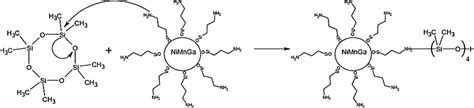  Octamethylcyclotetrasiloxane - Một Chất Xi놓u Hữu Cơ Mở Ra Khả Năng Trẻ Cho Các Ứng Dụng Trong Công Nghiệp!